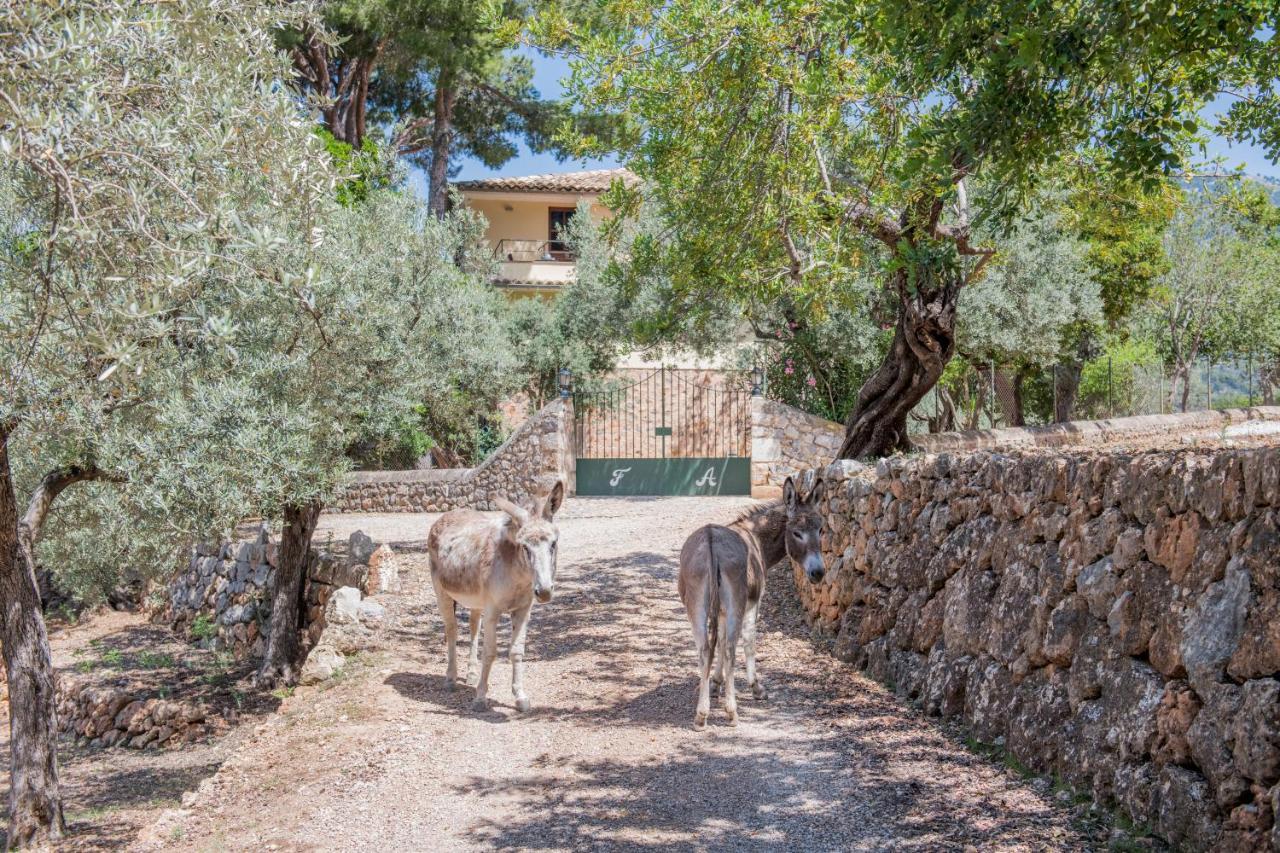 Villa Raco de Sóller Exterior foto