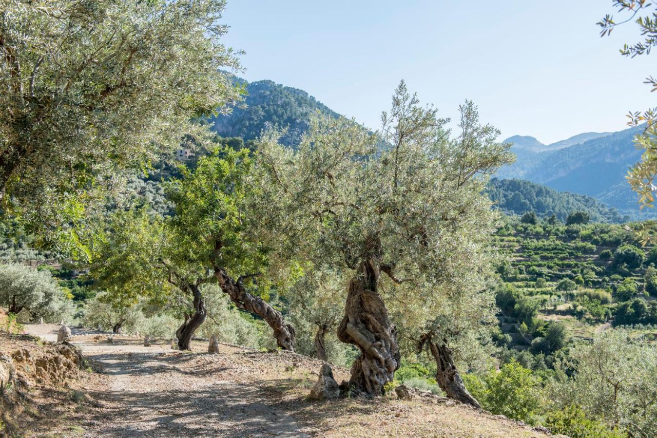 Villa Raco de Sóller Exterior foto